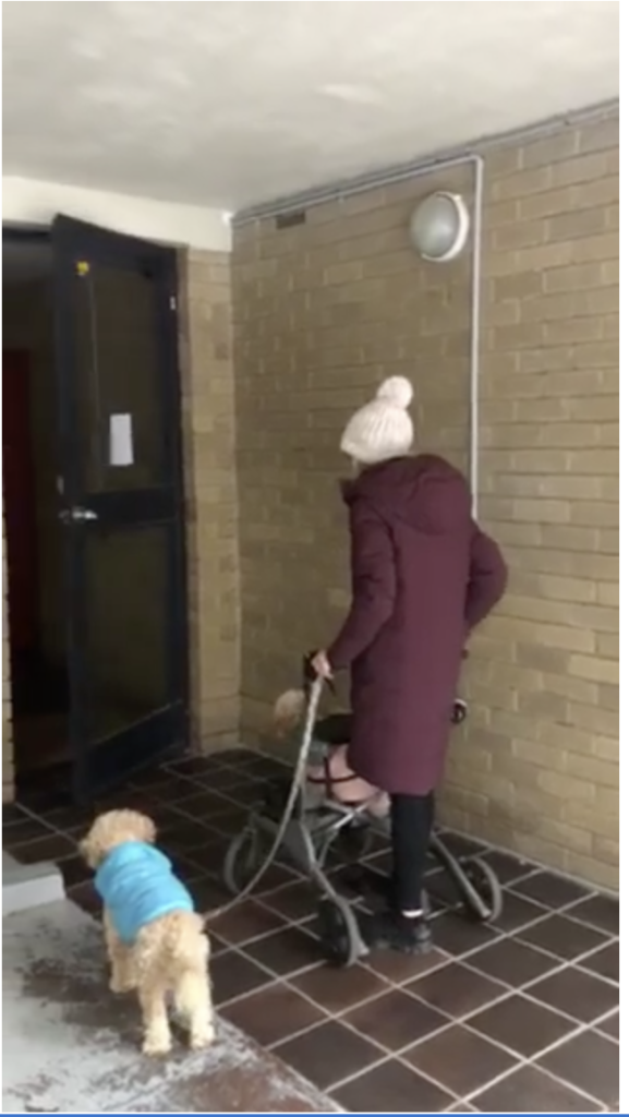 My walking to my automatic door with my dogs to show how assistive technology doesn't always assist me. If you click on the image, a video will appear to watch how the door doesn't work correctly.